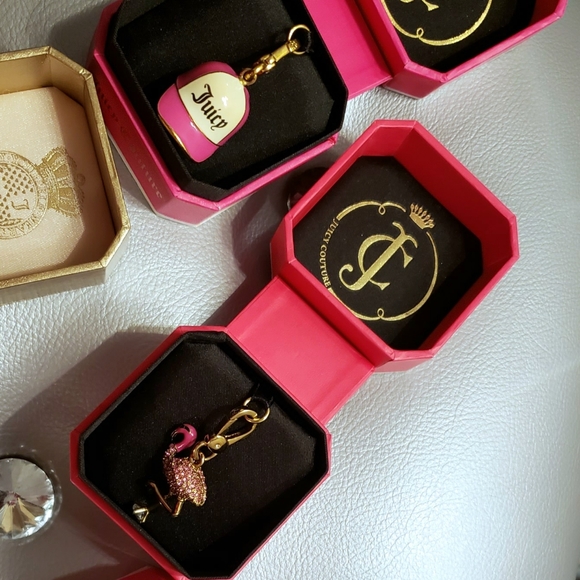 Juicy Couture charm and bracelet collection haul - Picture 4 of 13